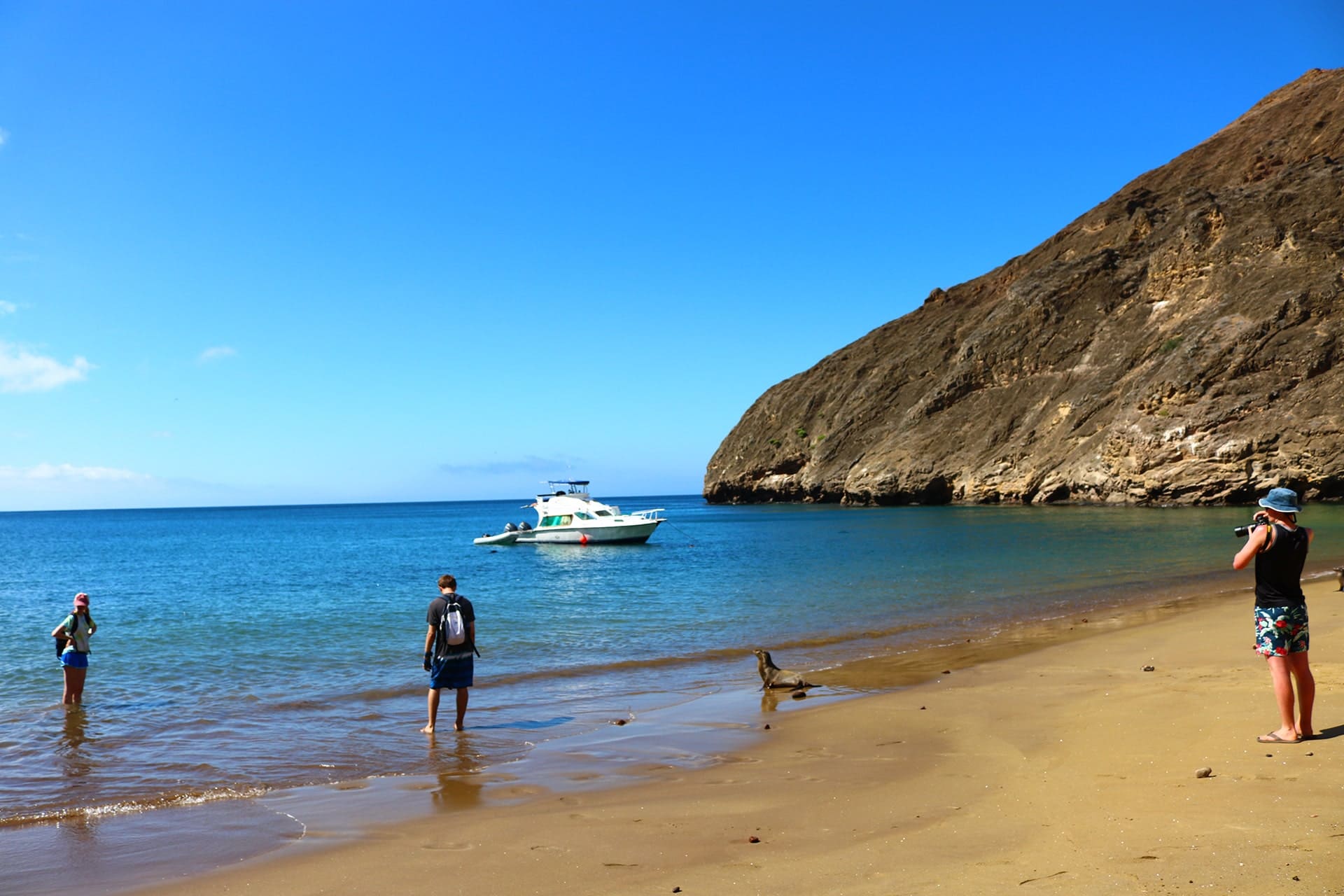 Punta Pitt